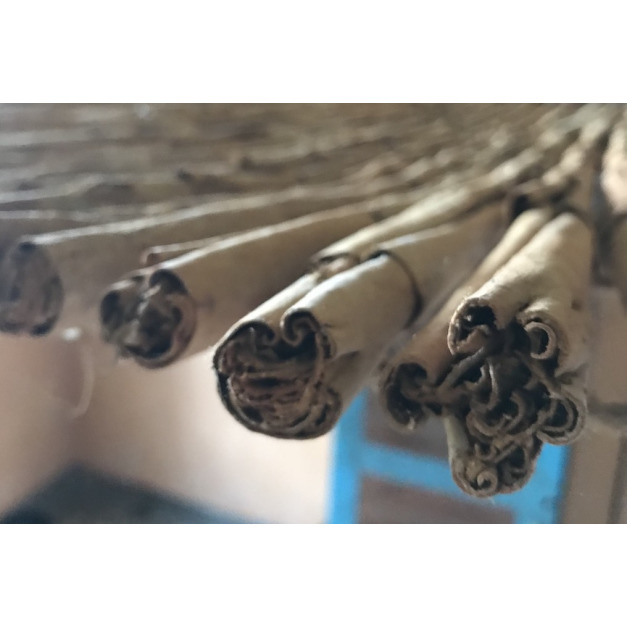 錫蘭肉桂皮精油-10g