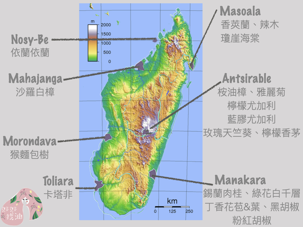 馬達加斯加芳香地圖