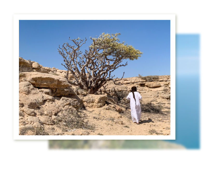 擁抱萬千的溫柔