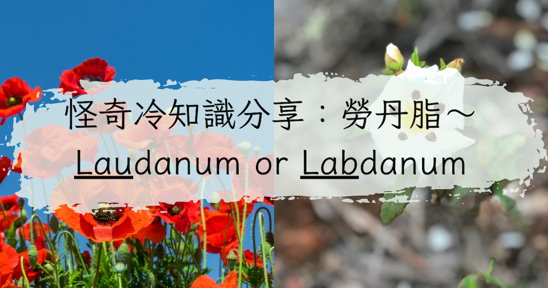 怪奇芳療冷知識分享:勞丹脂~Laudanum or Labdanum