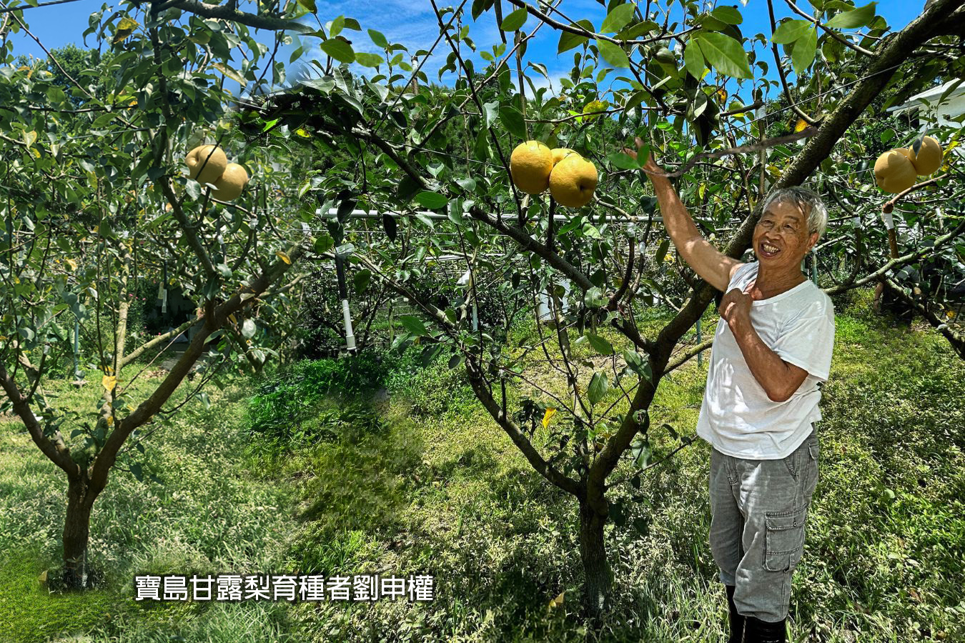 品種權角力2／地方農會挨批掣肘智慧品種