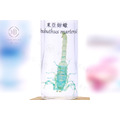 透明生物標本 - 東亞鉗蠍 Mesobuthus martensii_1