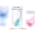透明生物標本 - 東亞鉗蠍 Mesobuthus martensii_2