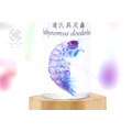 透明生物標本 - 道氏具足蟲 Bathynomus doederleinii (中)_2