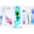 透明生物標本 - 真鎖管 Uroteuthis edulis (大)_1