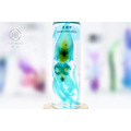 透明生物標本 - 真鎖管 Uroteuthis edulis (大)_4