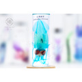 透明生物標本 - 台灣鎖管 Uroteuthis chinensis (大)_3