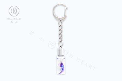 透明生物鑰匙圈 - 多齒新米蝦 Neocaridina denticulata