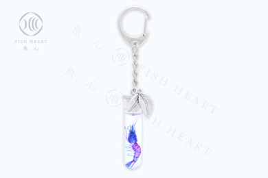 透明生物鑰匙圈 - 日本沼蝦 Macrobrachium nipponense