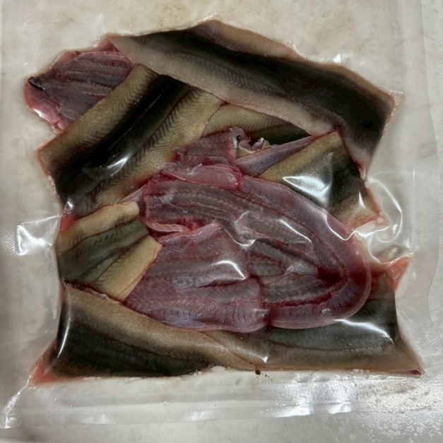 生鮮鱔魚切片 1KG