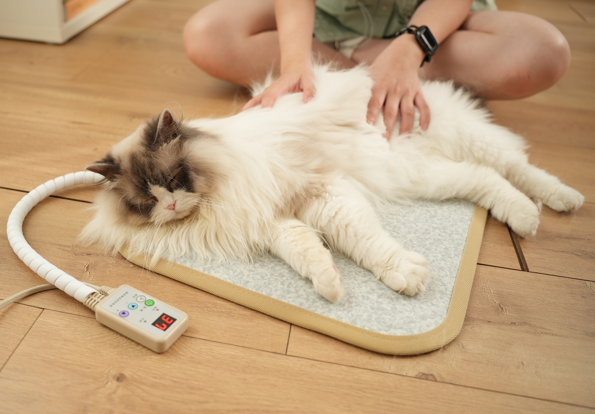 石墨烯寵物按摩墊