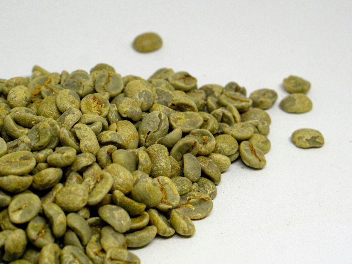 綠原酸的好處 加強新陳代謝