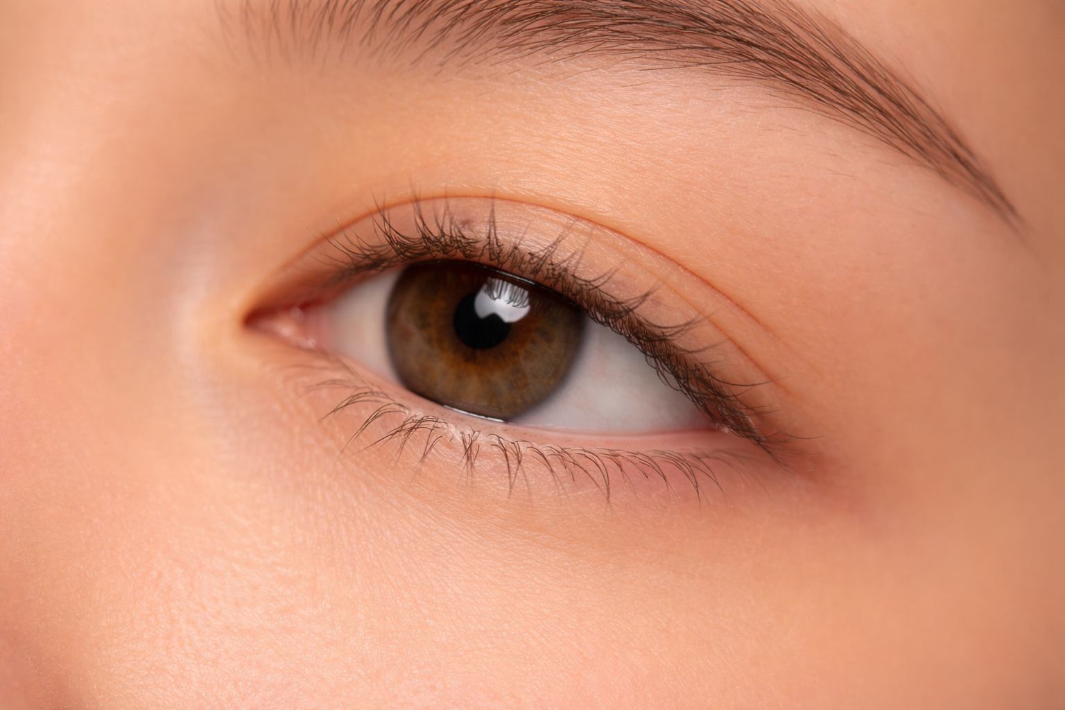 「睫毛修護產品排行榜」、「睫毛修護推薦」