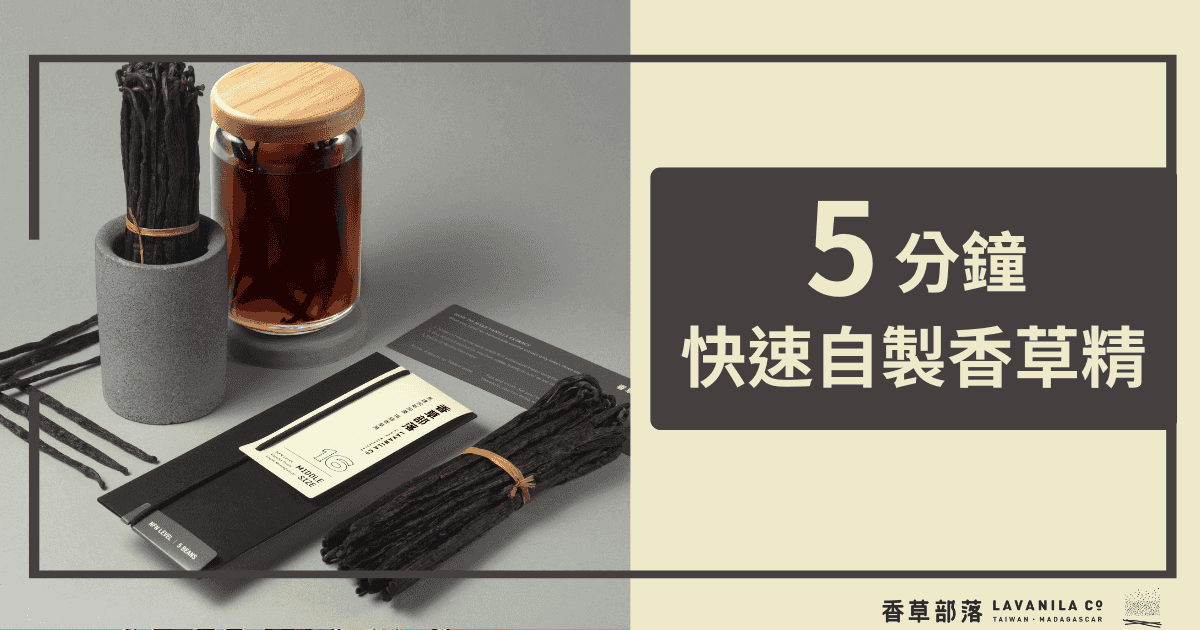 5分鐘快速自製香草精