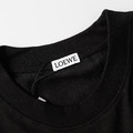 LOEWE 不規則刺繡 (黑)_5
