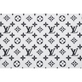 LOUIS VUITTON LV Monogram 滿版印花短袖 (白)_4