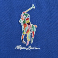 RALPH LAUREN 彩色戰馬刺繡Polo短袖 (藍)_2