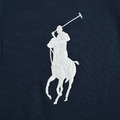 RALPH LAUREN 週年限定拼接刺繡POLO短袖 (藍)_3