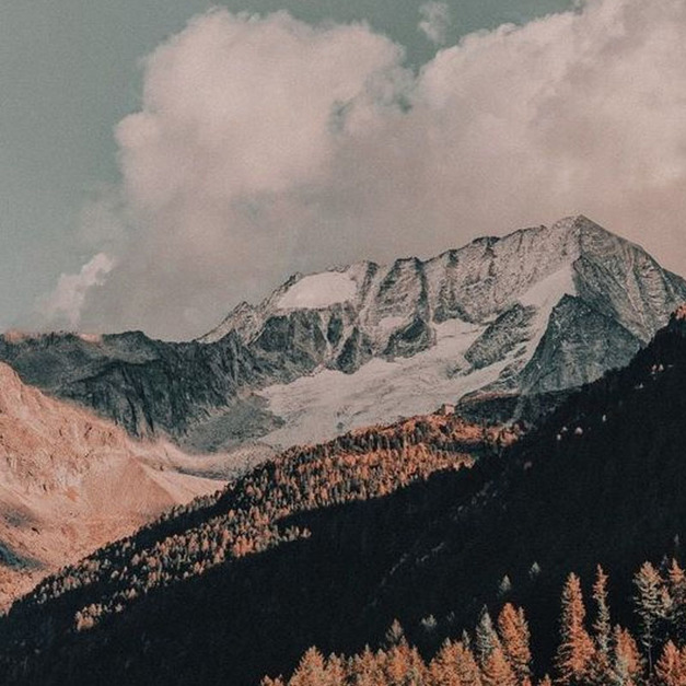 東非肯亞AA系列