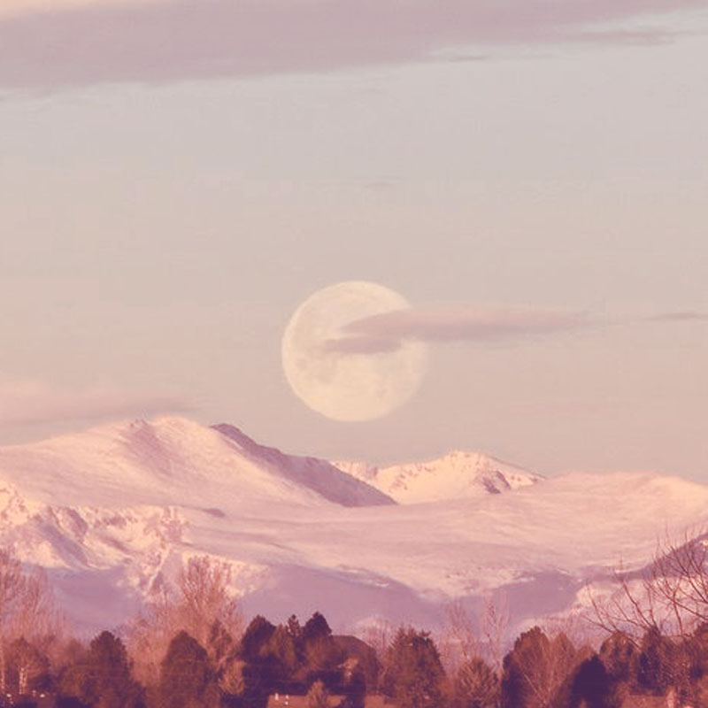 印度高山單品系列