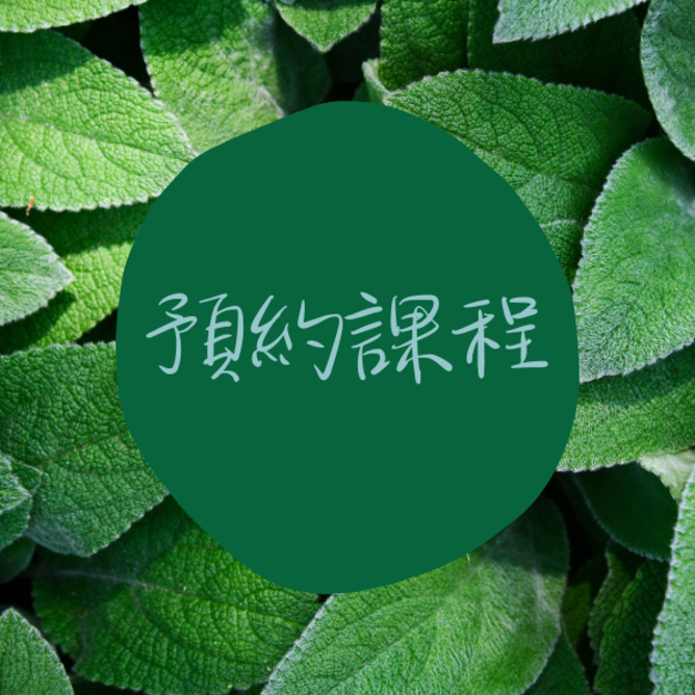 水培植物體驗課程