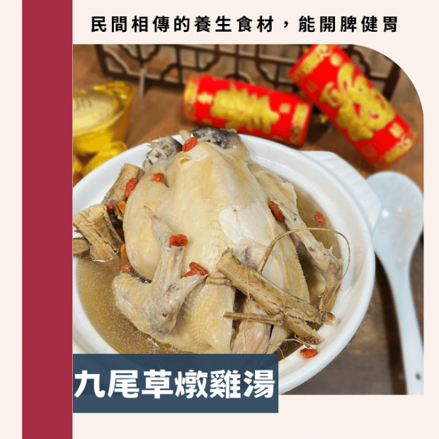 九尾草燉雞