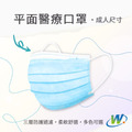 成人醫療平面口罩-50入