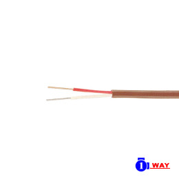 T Type 鐵氟龍補償導線  T-L-1/0.3X2