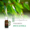 Marina 尤加利精油 20ML_1