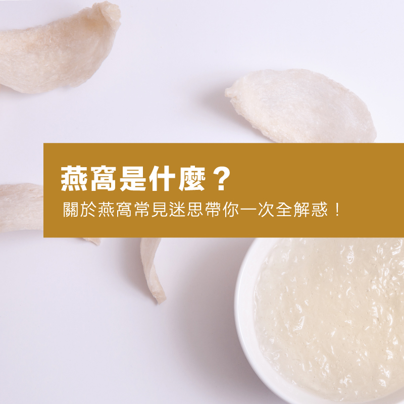 燕窩是什麼？燕窩是素食嗎？關於燕窩常見迷思帶你一次全解惑！