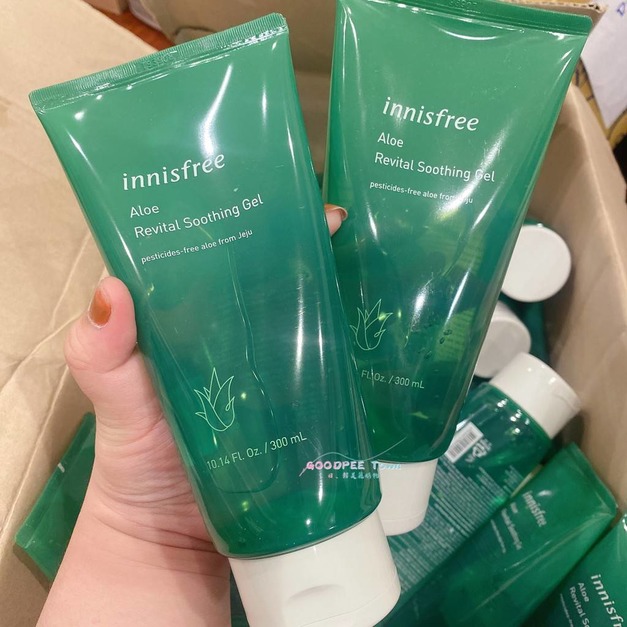 Innisfree蘆薈修護舒緩凝膠300ml