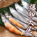 南海豐【大尾爆卵柳葉魚】 加拿大高品質