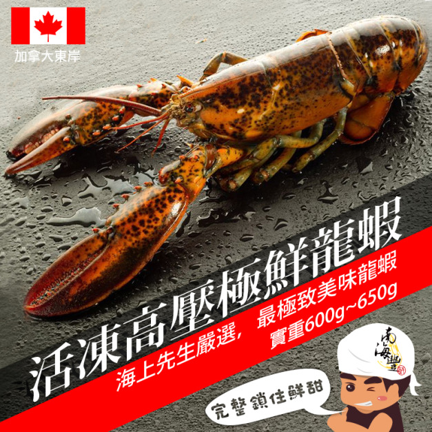 南海豐【活凍高壓極鮮龍蝦】每隻600-650g