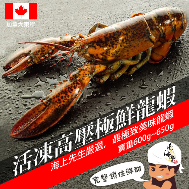 南海豐【活凍高壓極鮮龍蝦】每隻600-650g