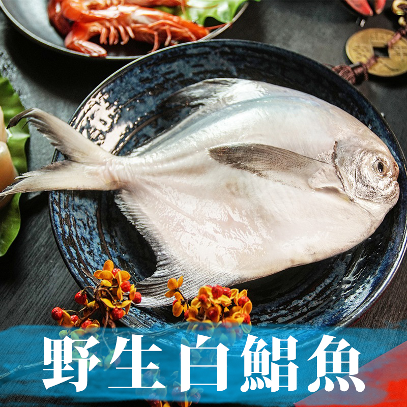 南海豐【野生白鯧魚】少刺甜美！