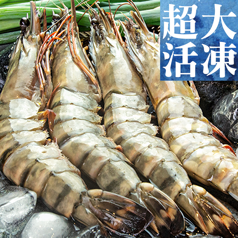 南海豐【超大活凍草蝦】4尾入巨大size！