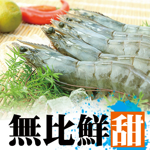 南海豐【海大白蝦】純淨海水養殖大size
