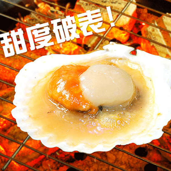 南海豐【北海道帆立扇貝】