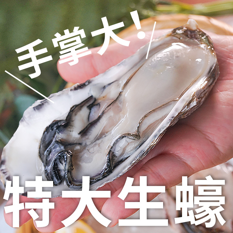 南海豐【手掌大！特大半殼生蠔】
