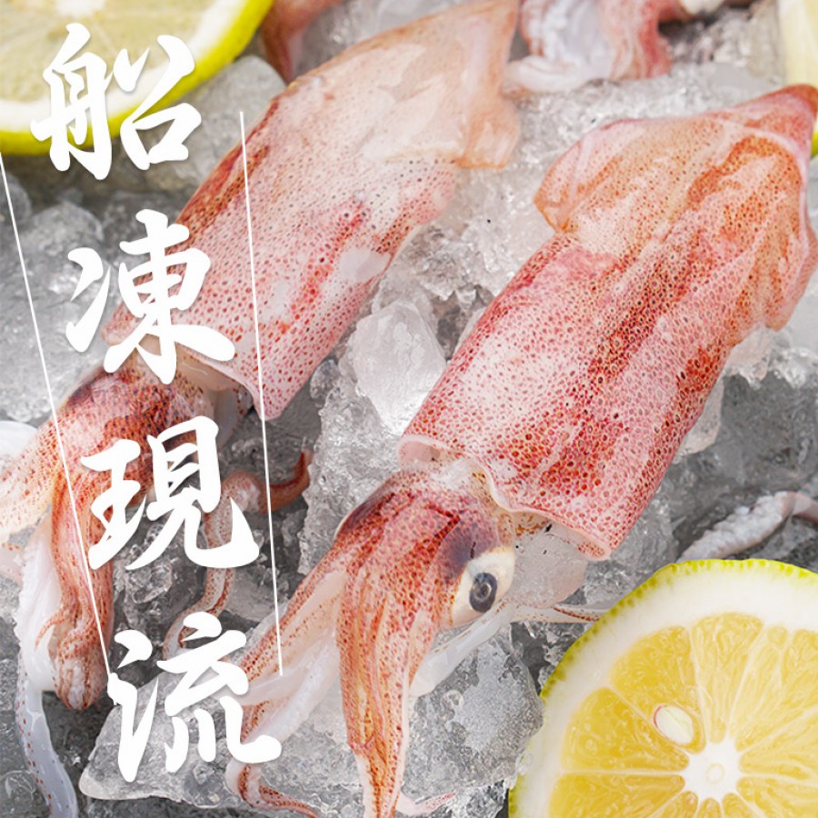 南海豐【野生現流船凍小卷】