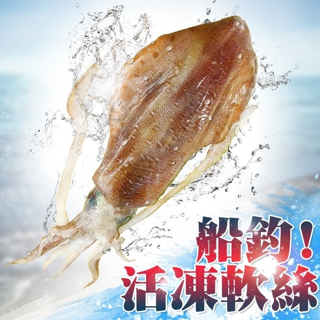 南海豐【船釣！活凍軟絲】