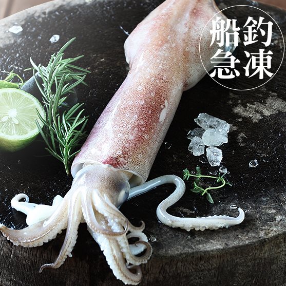南海豐【船釣！活凍透抽】
