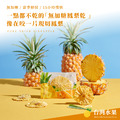 無加糖鳳梨乾 20g 隨身包 | 無防腐劑、無香料色素_1
