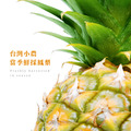 [限時嚐鮮]無加糖鳳梨果丁乾 100g | 無防腐劑、無香料色素_3
