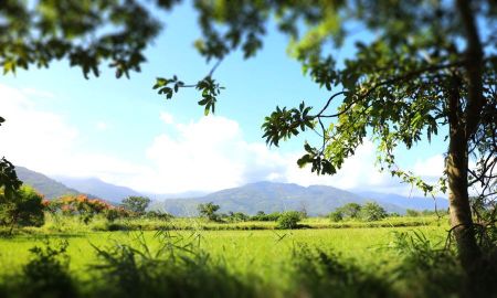 太陽的故鄉 Home of the sun