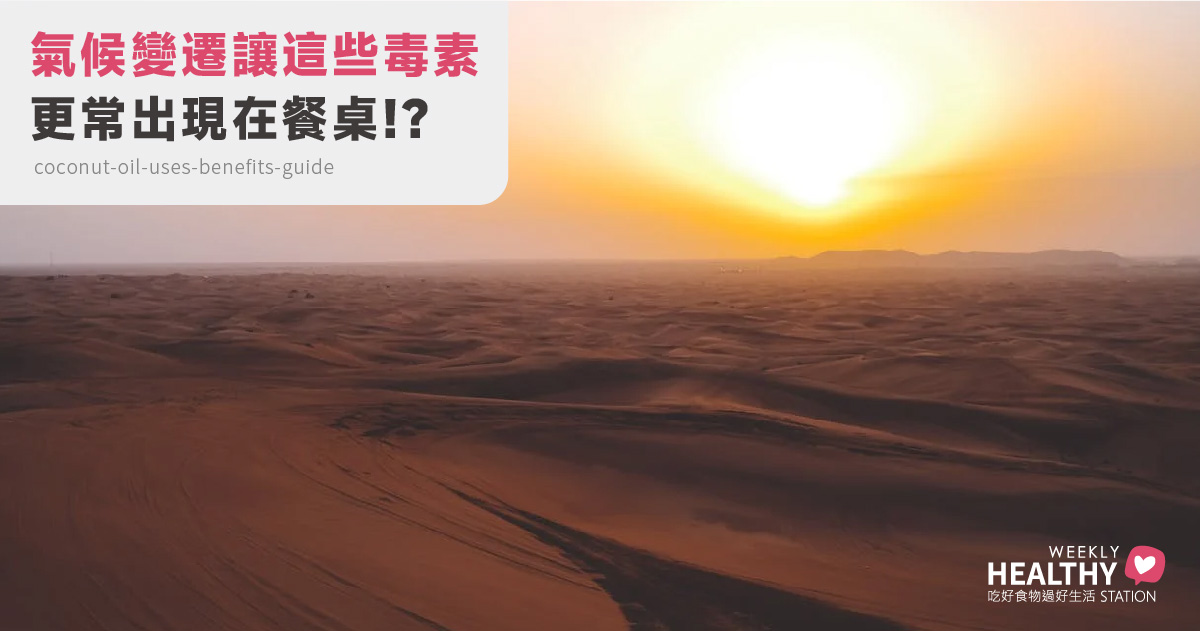 氣候變遷讓這些食物變危險？常見中毒風險與預防方法解析