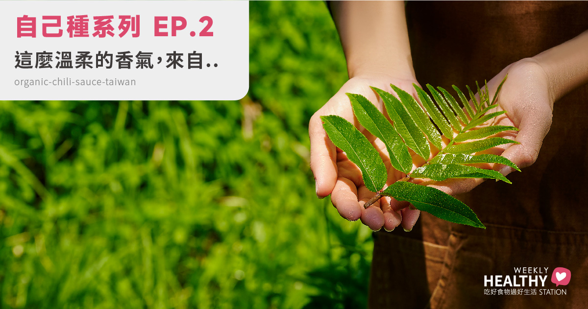自己種系列 EP.2｜紅刺蔥是什麼？台灣山林的寶藏香氣，我們用一壺茶把它留住