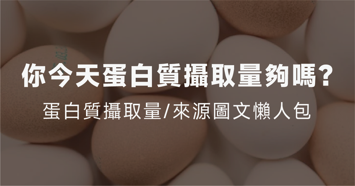 你今天蛋白質攝取量夠嗎? 該從那裏攝取呢? 圖文懶人包一次看