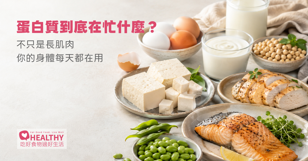 為什麼要吃蛋白質？它不只拿來長肌肉，身體每天都在用