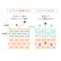LA SINCIA SE100スーパーエッセンス <CE> セラミド 30mL / 神經醯胺美容精華液_4